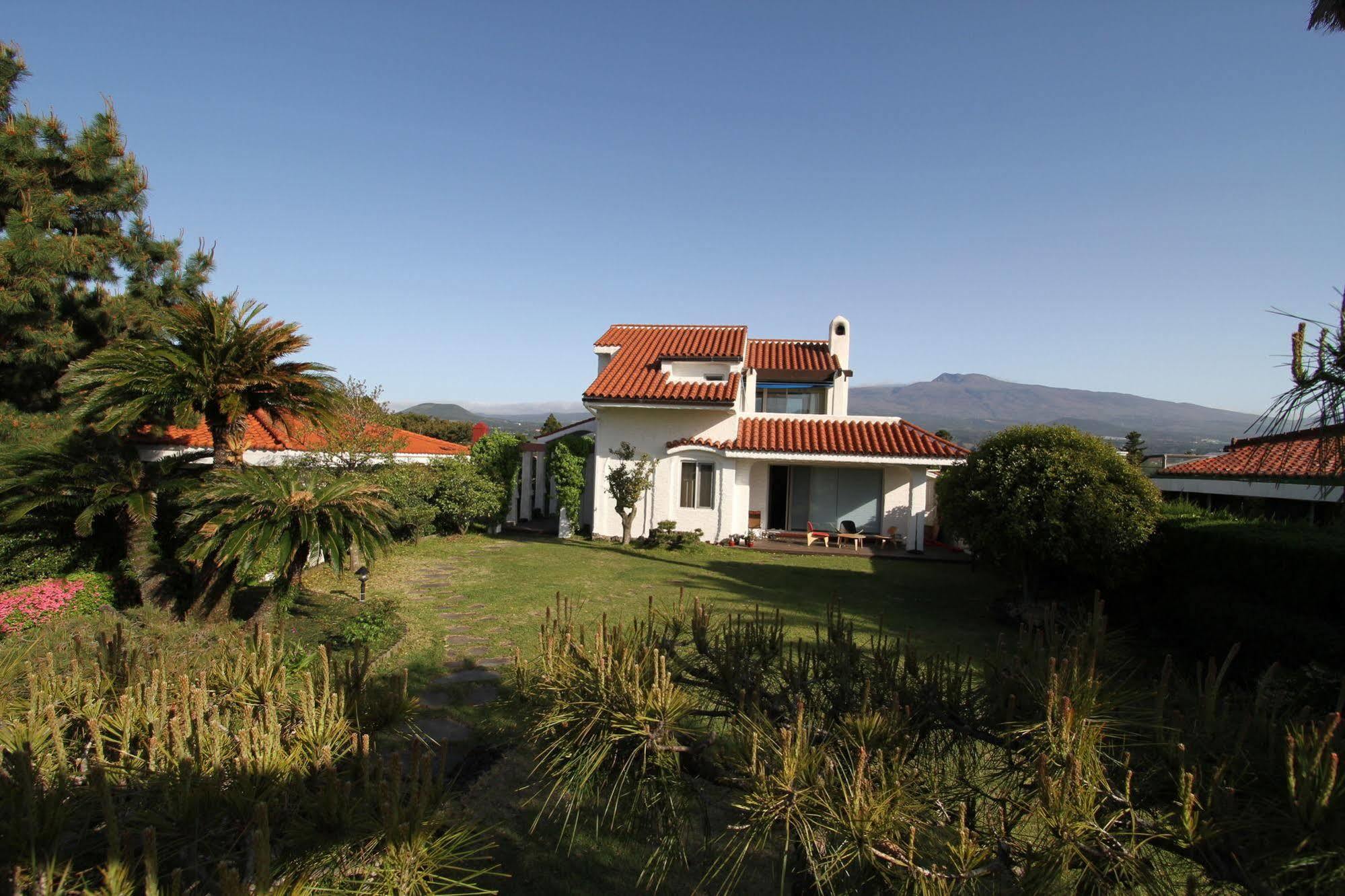 Palm Tree Villa Seogwipo Extérieur photo